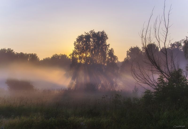пейзаж,туман,утро,солнце,контражур,август Сиреневый туман...photo preview
