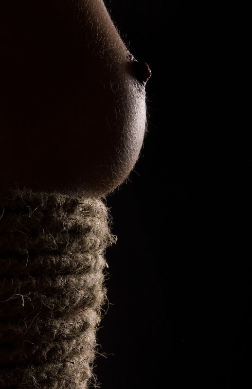 nude nudegirl artnude studiolight aktfotografie actmodel nudemodel Ice Creamphoto preview