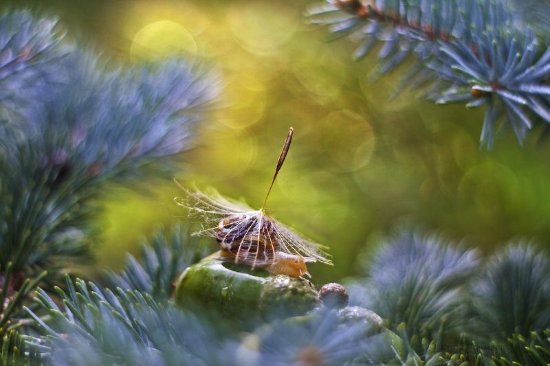 It can rain nowphoto preview