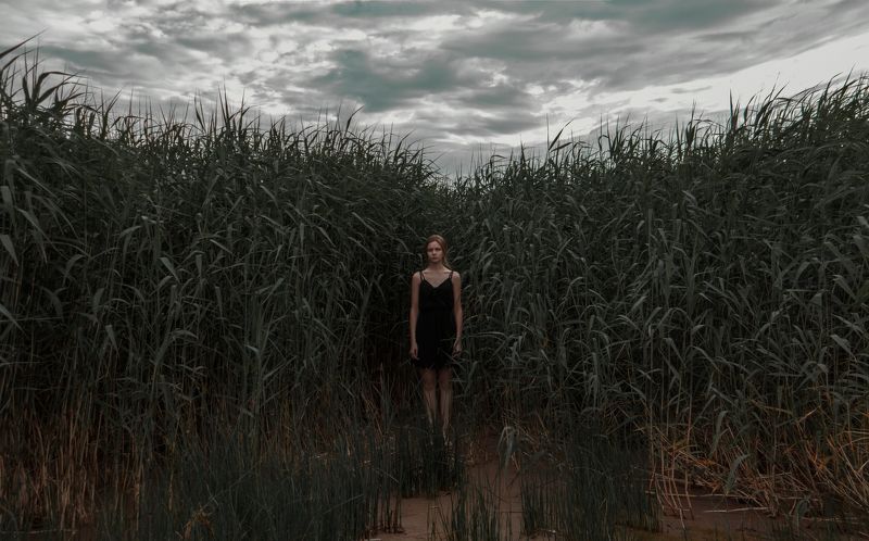 girl, beach, send, nature, beauty, model, sky, portrait, female portrait, art, photo art, арт, портрет, арт портрет, постановочная фотография, природа, пляж, пейзаж, девушка Liliphoto preview