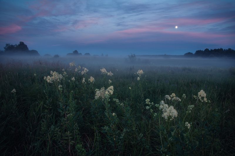 природа, закат, туман, луна, пейзаж, цветы, nature, sunset, fog,moon, fog, landscape, Туманные вечера фото превью