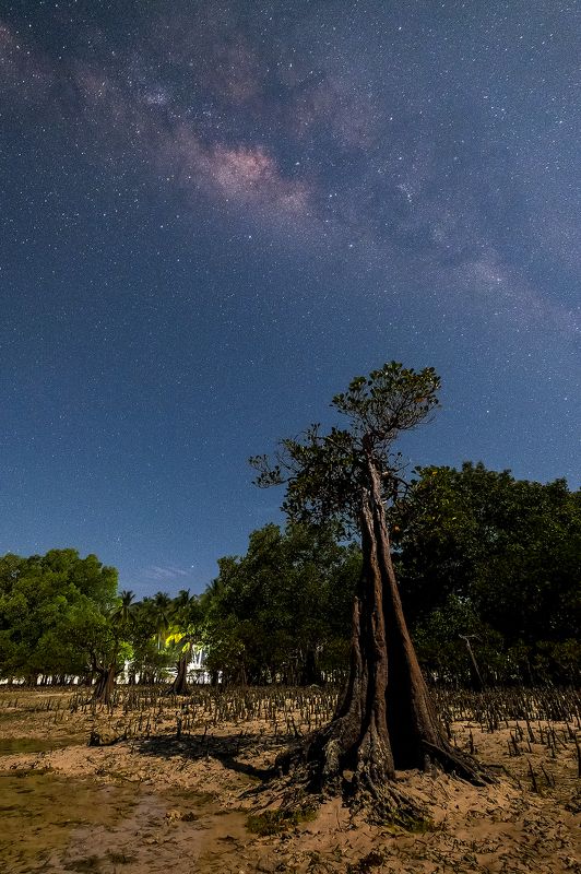 Macro and Landscape work of Lee Hua Mingphoto preview