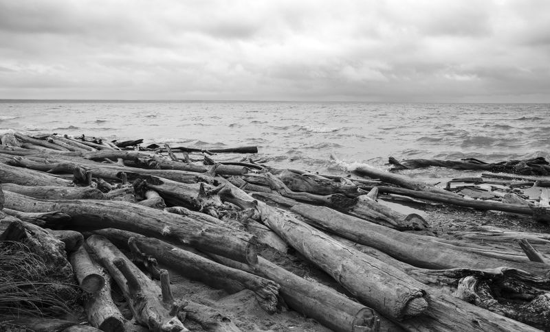Море, бревна, пляж Обское мореphoto preview