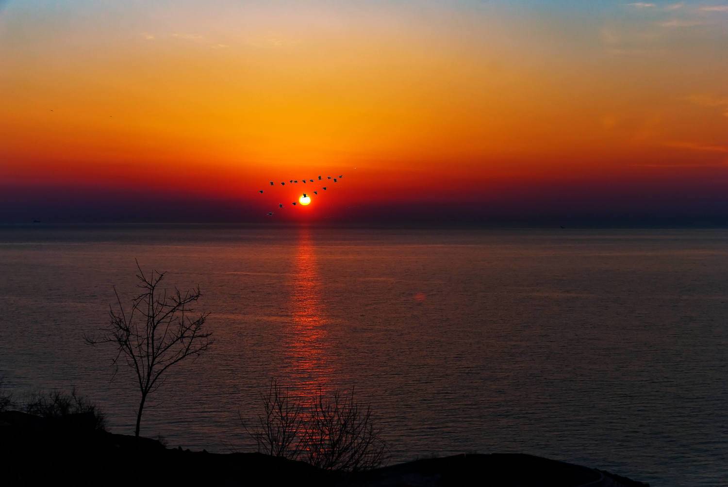 , Владимир Гамаюнов