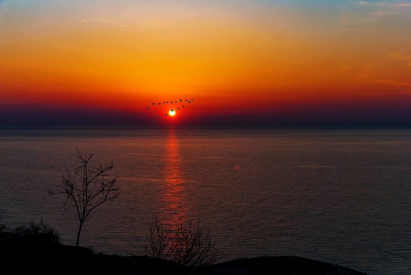 Савиньон, утро (Одесса)photo preview