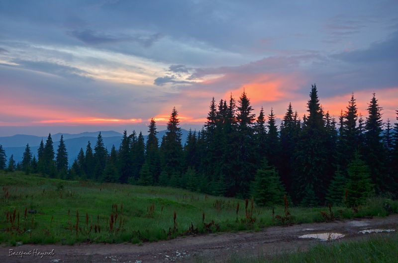 вечір, полонина, карпати, літо Надвечір\'еphoto preview