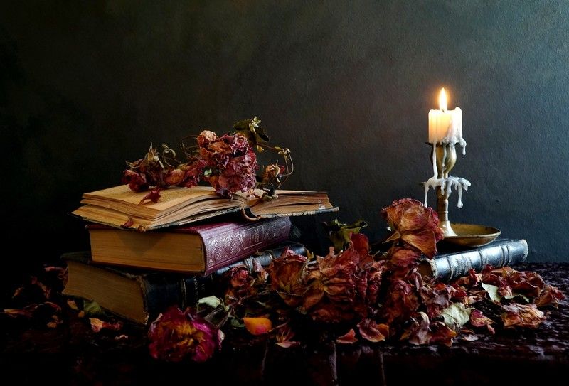 Stilllifephoto preview