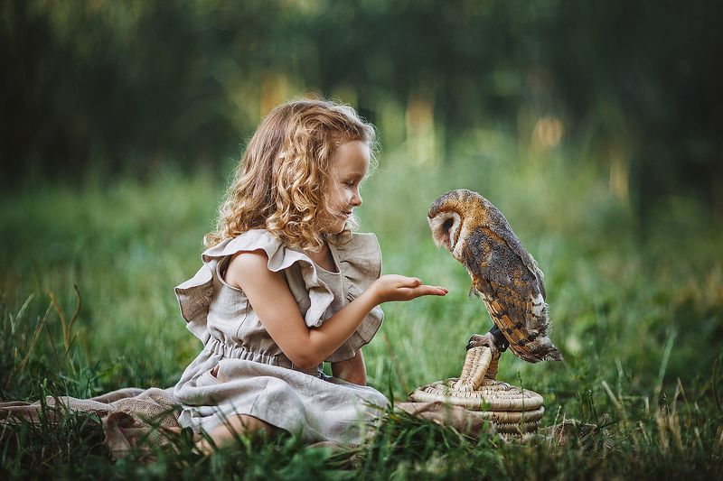 Совушкаphoto preview