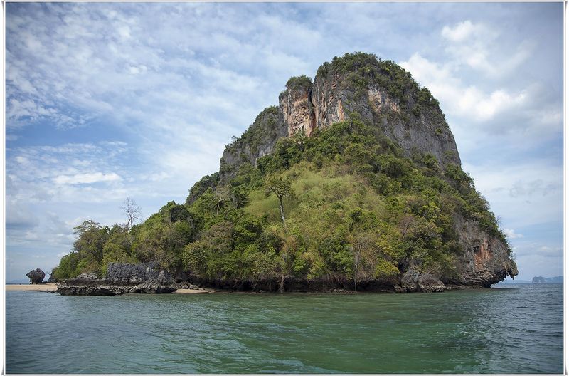 Весь покрытый зеленьюphoto preview