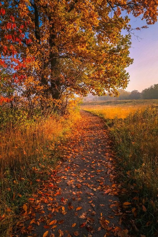 Дорожка в осеньphoto preview