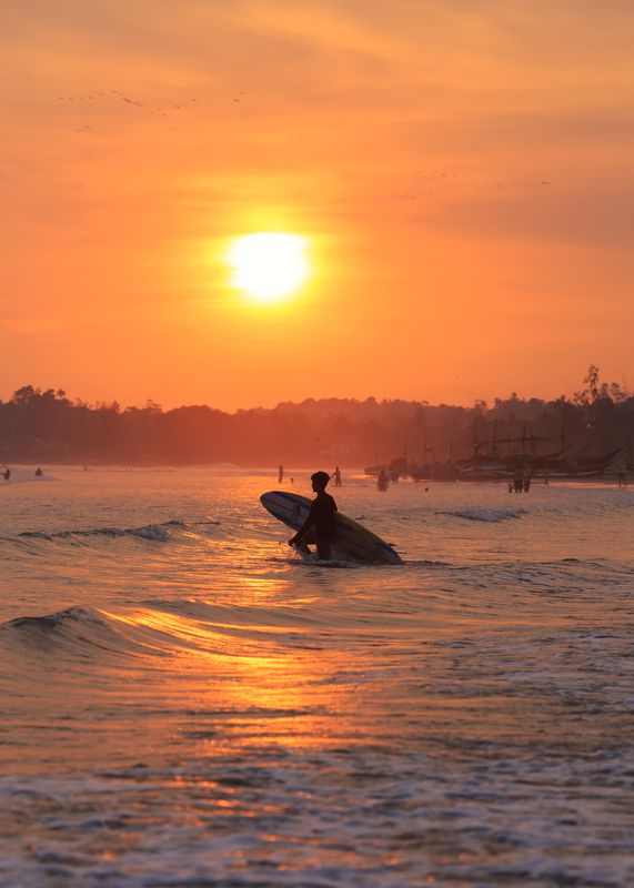 шри-ланка, велигама, закат, спот, серфинг, лето уходит) Закат на Велигаме.photo preview