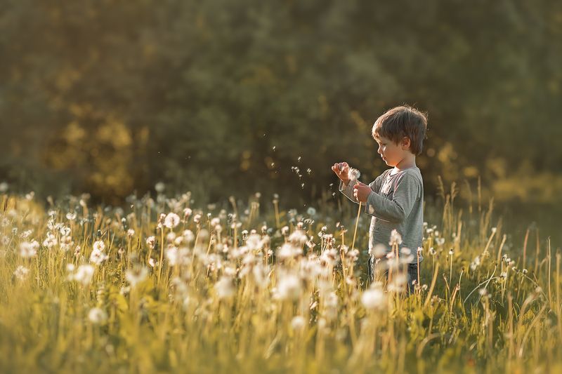 детский портрет, лето, одуванчик Мальчик-одуванчикphoto preview