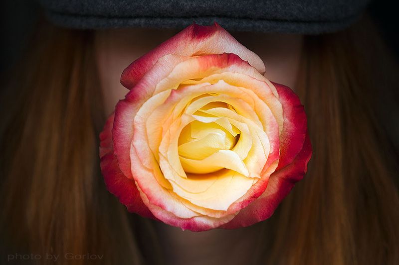 rose, snake, tongue, portrait, retro, hat, vintage, red *photo preview