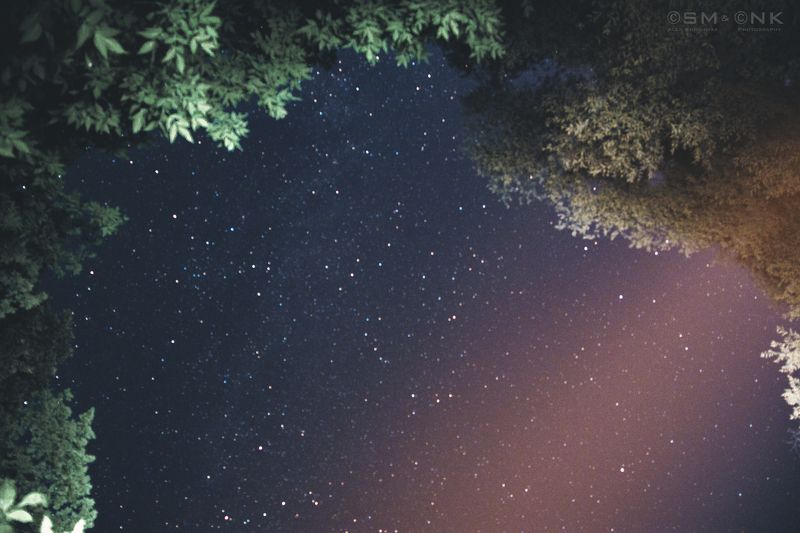 космос, небо, звезды, лес, деревья, свет, мир, красота Окно в далекий мирphoto preview