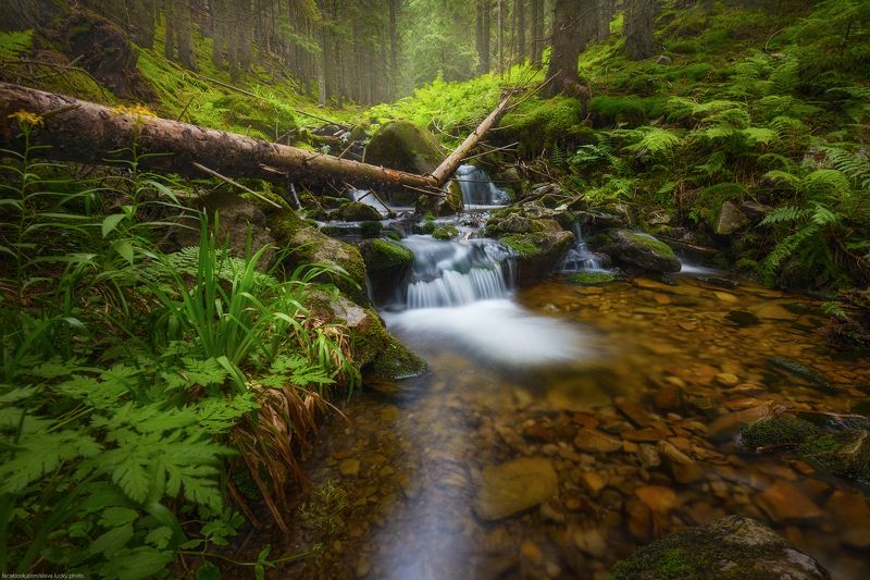 У горного ручьяphoto preview