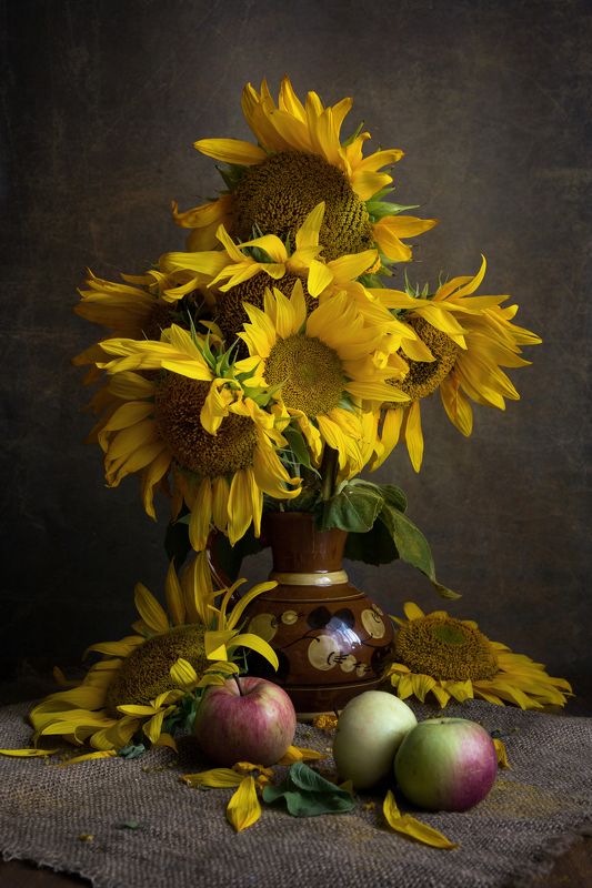 фото , цвет , натюрморт , подсолнух , флора , яблоки , ваза Августphoto preview
