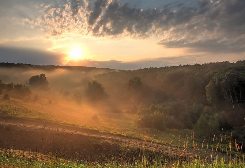 навстречу солнцуphoto preview