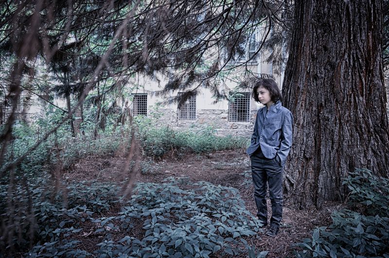 sequoia Sequoiaphoto preview