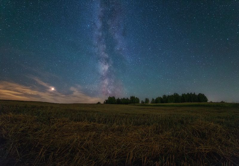 ночь, пейзаж, samyang Под вечными звёздамиphoto preview