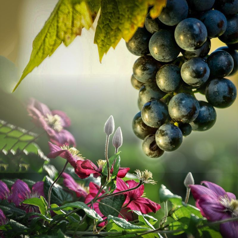 этюд этюдphoto preview