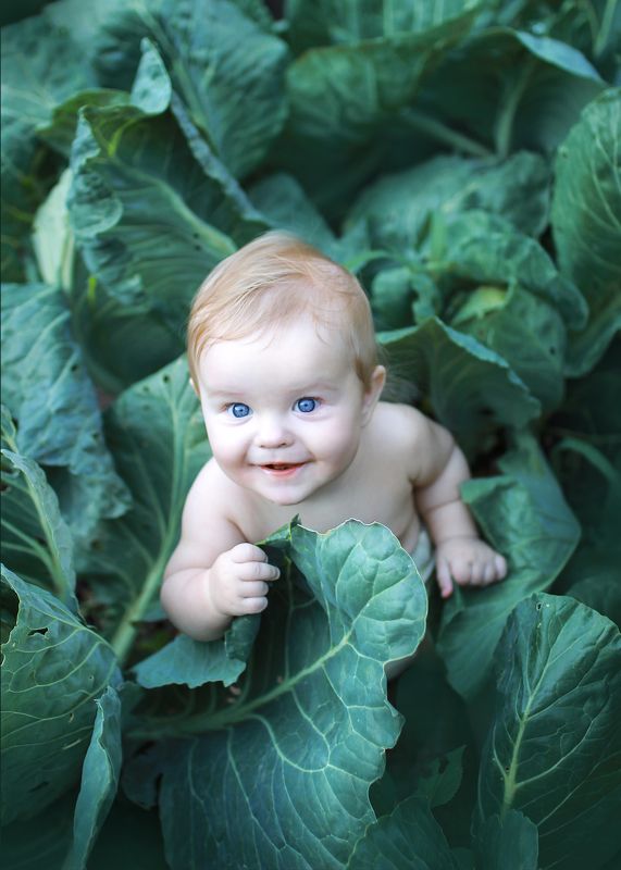 Гусеничкаphoto preview