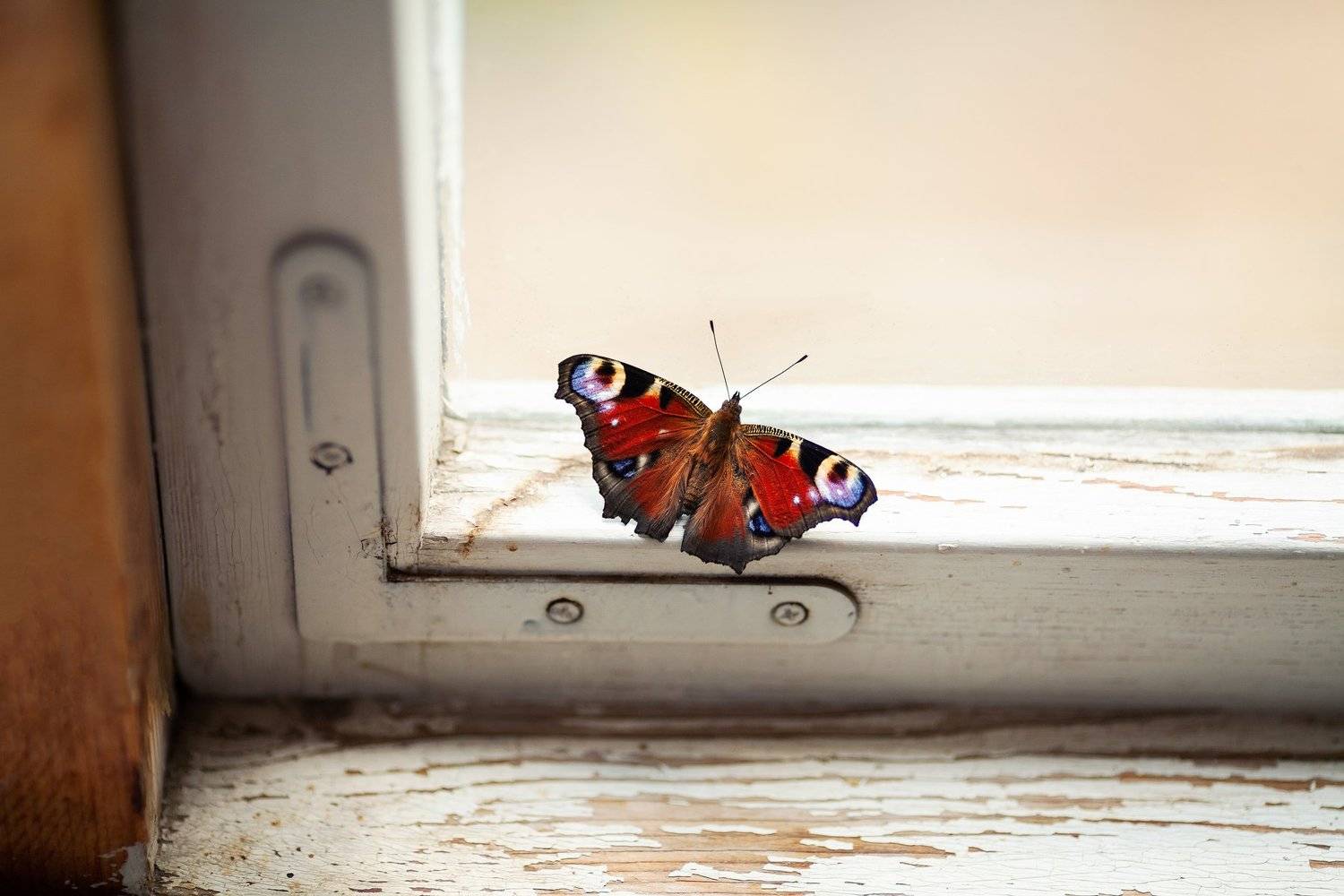 Автор: Дара Пилюгина , Дара Пилюгина