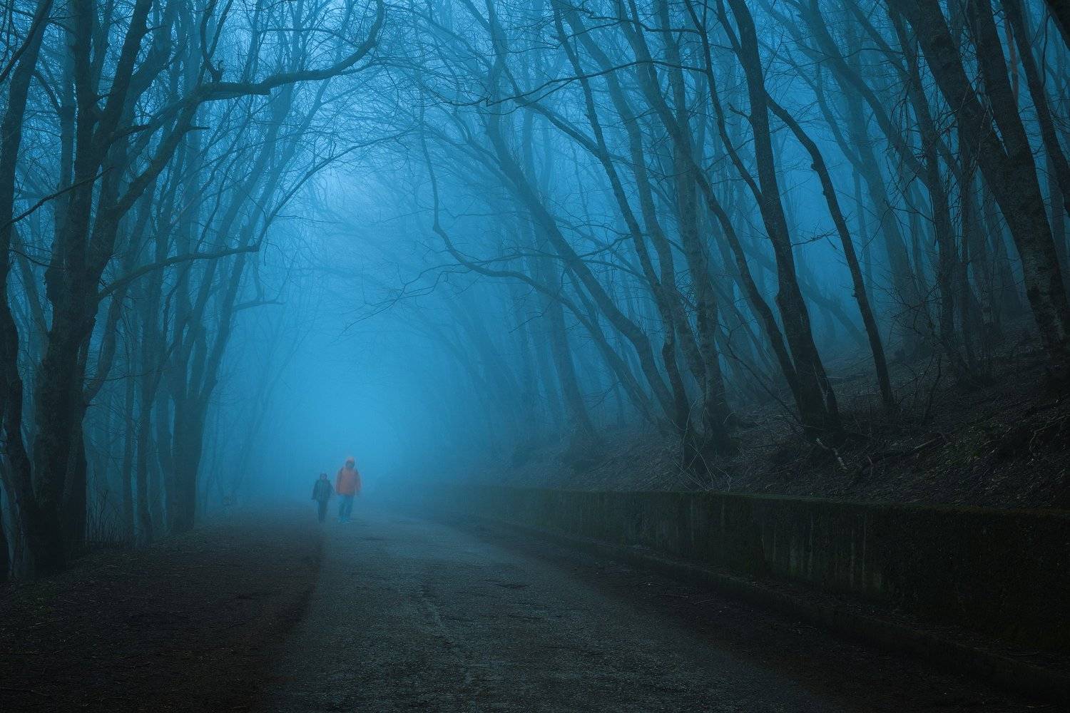 "Дороге" Кормака Маккарти посвящается). Автор: Оборотов Алексей россия, ставропольский край, кавказ, пятигорск, кмв, машук, пейзаж, природа, лес, вечер, закат, туман, весна, сумерки, Оборотов Алексей