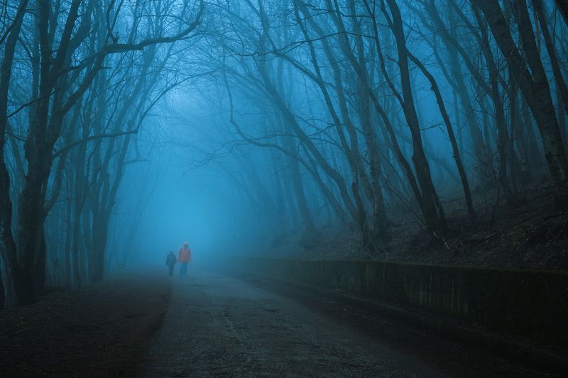 россия, ставропольский край, кавказ, пятигорск, кмв, машук, пейзаж, природа, лес, вечер, закат, туман, весна, сумерки \