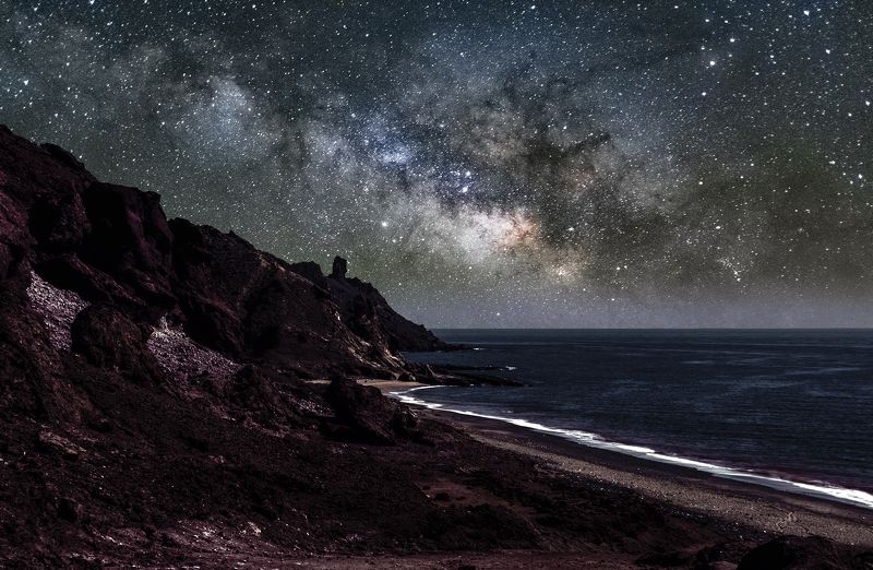 Red seashorephoto preview