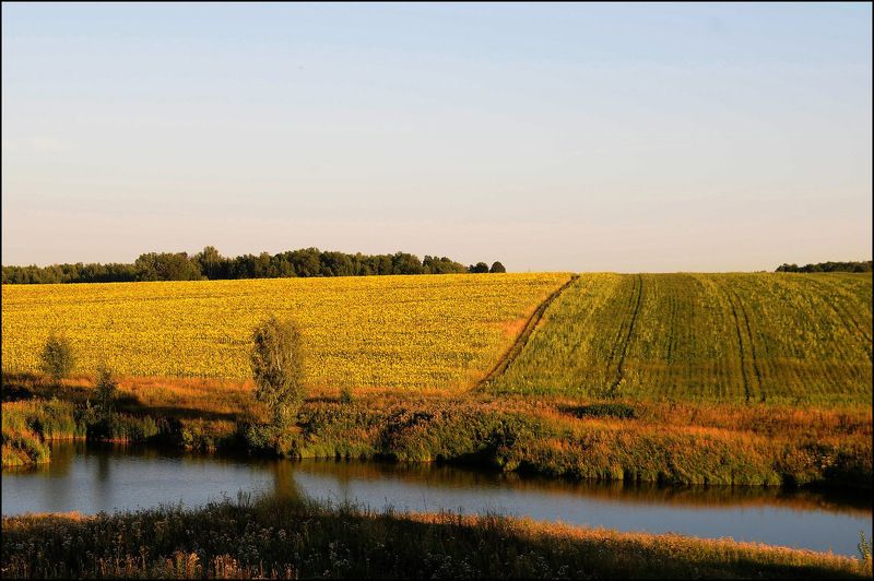 природа поля озера Природа поволжьяphoto preview