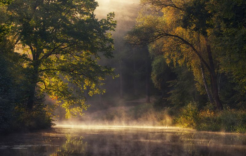 Утро на озереphoto preview