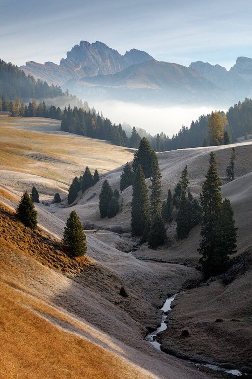 morning, light, alps, mountains, italy, dolomites, peaks, fog, mist, valley, trees, europe, landscape, Martin Rak