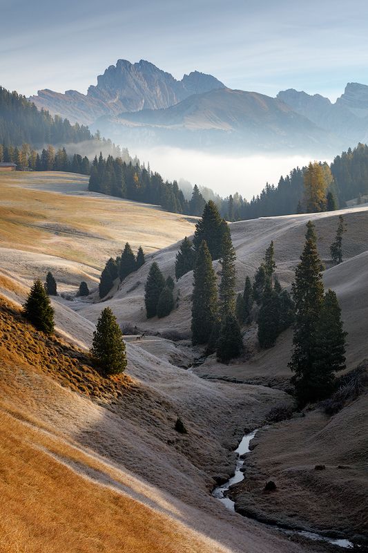 morning, light, alps, mountains, italy, dolomites, peaks, fog, mist, valley, trees, europe, landscape Dolomitesphoto preview
