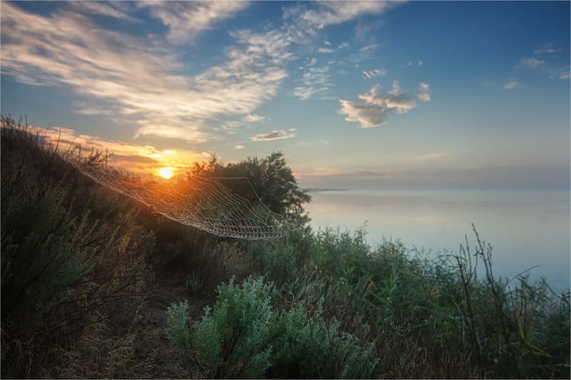 утро море солнце паутина hammock sun Гамак для солнцаphoto preview