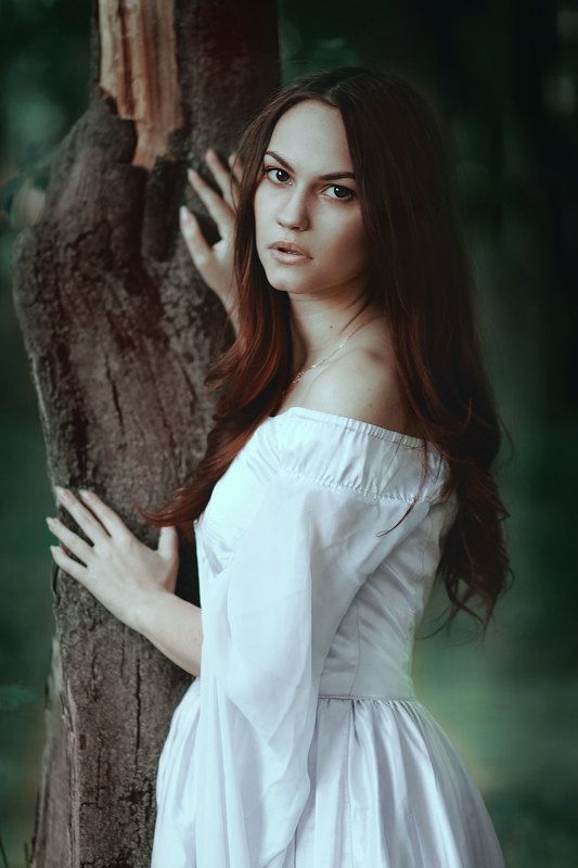 Aredel (Sillmarillion)photo preview