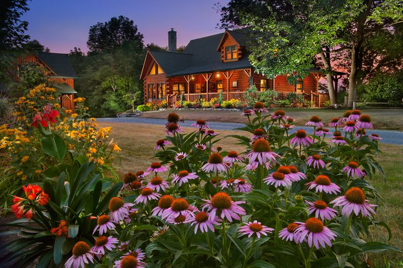 Flowers by the Cabinphoto preview