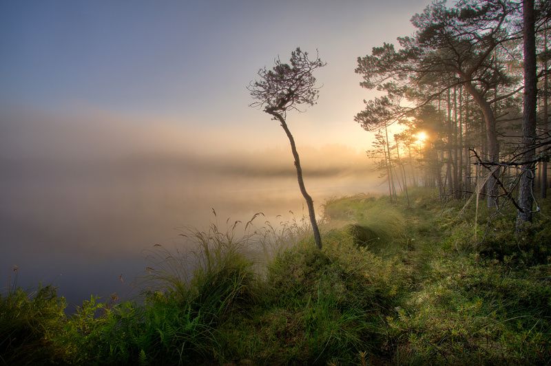 Утречком...photo preview