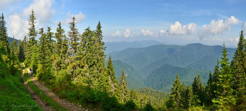 карпаты, горы, мармаросский массив Дорога в горахphoto preview