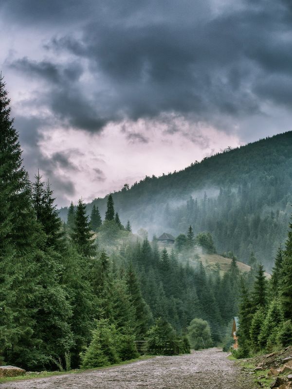 август, горы, дождь, карпаты, лес, лето Дождь по дороге в Синевирphoto preview