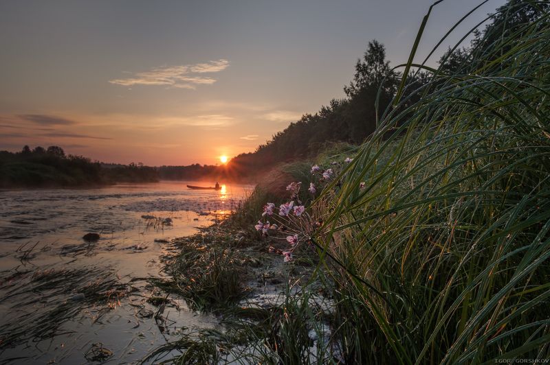 молога,река,утро,рассвет,лодка,пейзаж,природа,солнце,лодка,рыбак,роса,отражения,берег,трава, Утро на рекеphoto preview