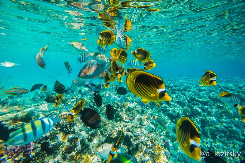 Кружат в танцыphoto preview