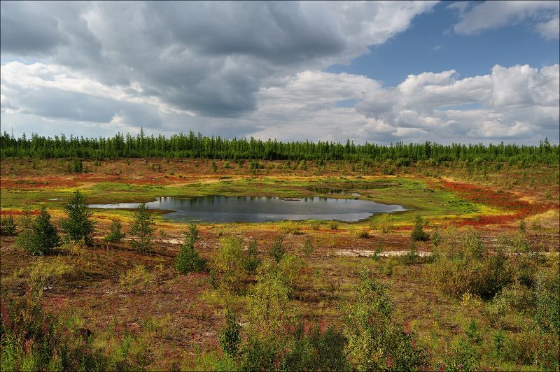 пейзаж, дорога, тундра, лето По дороге в Надым фото превью