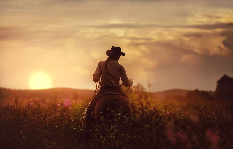 поле, лошадь, закат, ковбой, field, horse, sunset, cowboy закатный вечерphoto preview