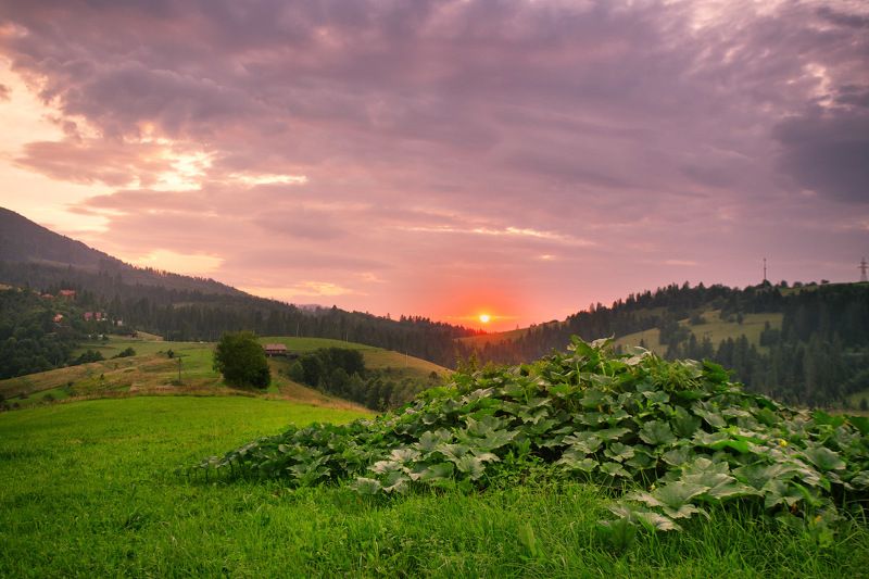 вечер, горы, закат, июль, карпаты, лето Про юные Halloween\'ы на фоне подобовецкого закатаphoto preview