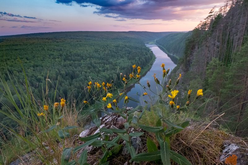 закат, цветы, река, скала, лес, чусовая, пермский край Закат на вершине скалы Великанphoto preview