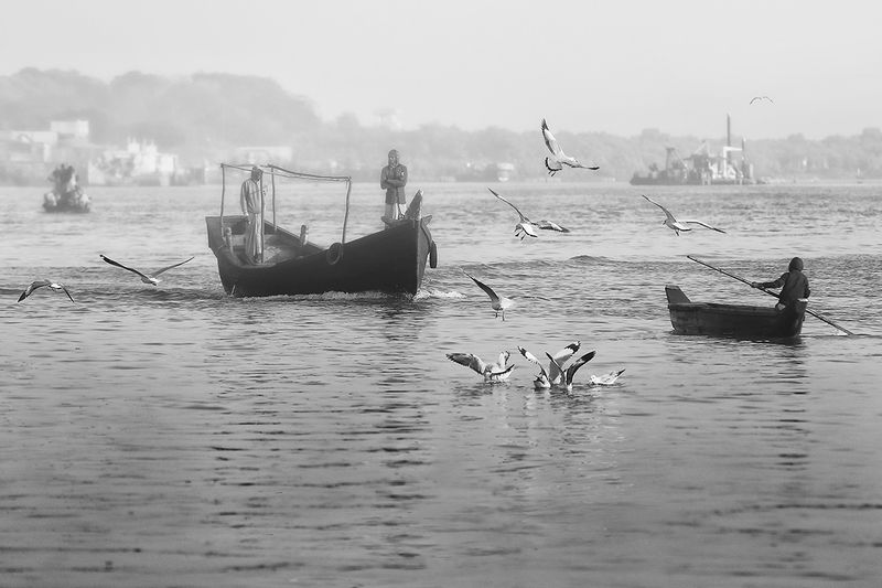бангладеш, рыбаки, лодка, чайки, промысел, рыбалка, утро, рано Ранним утромphoto preview