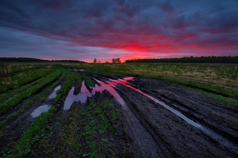 Моя прекрасная лужа фото превью