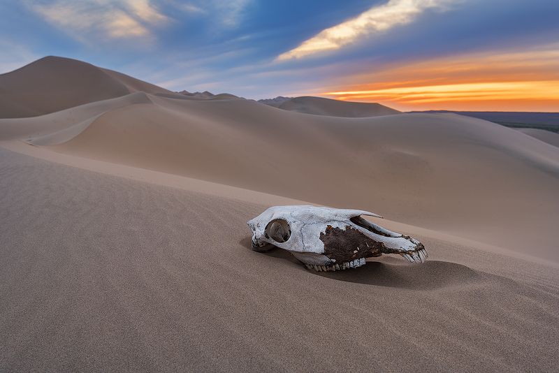 Закат в пескахphoto preview