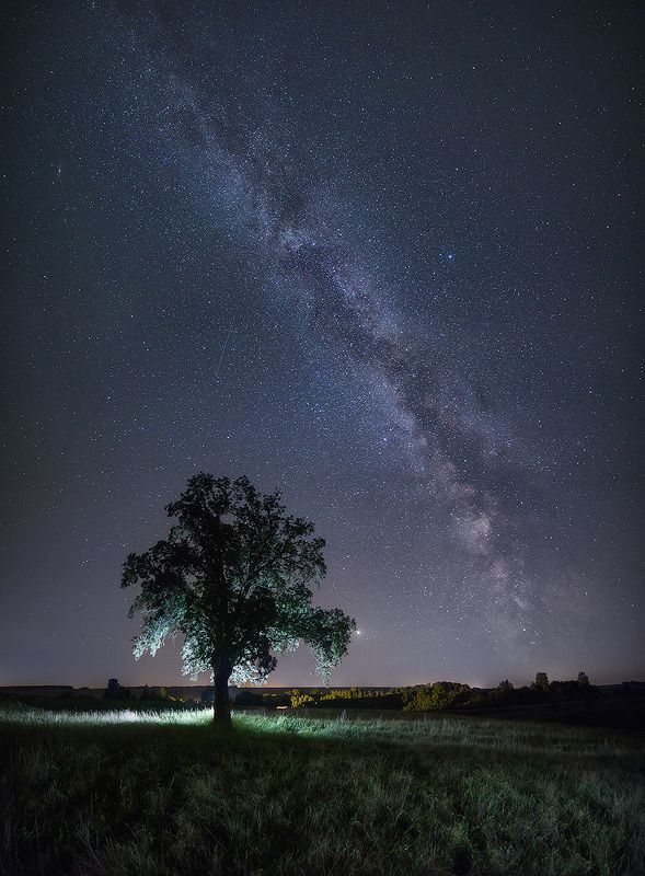 Млечный путь и одинокий дуб. фото превью