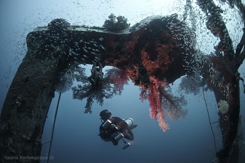 Вторая жизнь